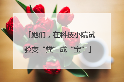 她们，在科技小院试验变“粪”成“宝”