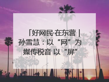 好网民·在东营｜孙雪慧：以“网”为媒传税音 以“屏”为介助发展