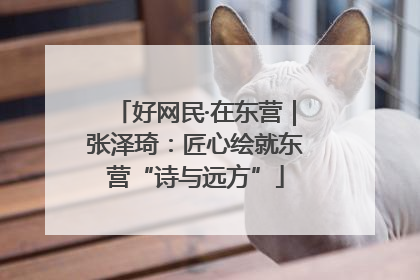 好网民·在东营｜张泽琦：匠心绘就东营“诗与远方”