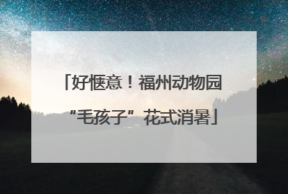好惬意！福州动物园“毛孩子”花式消暑