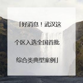 好消息！武汉这个区入选全国首批综合类典型案例