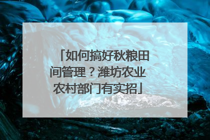 如何搞好秋粮田间管理？潍坊农业农村部门有实招