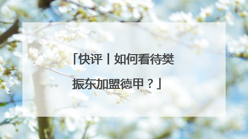 快评丨如何看待樊振东加盟德甲？