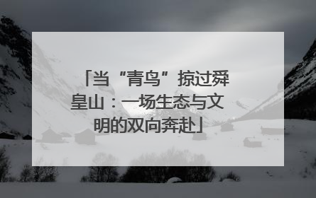 当“青鸟”掠过舜皇山：一场生态与文明的双向奔赴