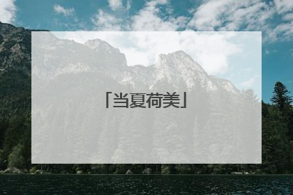 当夏荷美