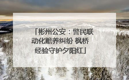彬州公安：警民联动化赡养纠纷 枫桥经验守护夕阳红