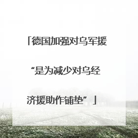 德国加强对乌军援 “是为减少对乌经济援助作铺垫”