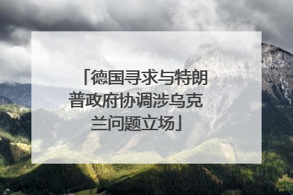 德国寻求与特朗普政府协调涉乌克兰问题立场
