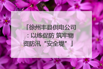 徐州丰县供电公司：以练促防 筑牢物资防汛“安全堤”