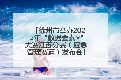 徐州市举办2025年“数据要素×”大赛江苏分赛（应急管理赛道）发布会