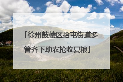 徐州鼓楼区拾屯街道多管齐下助农抢收夏粮