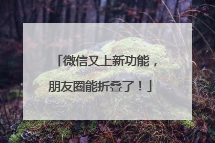 微信又上新功能，朋友圈能折叠了！