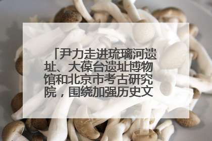 尹力走进琉璃河遗址、大葆台遗址博物馆和北京市考古研究院，围绕加强历史文化名城保护调研