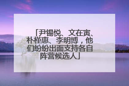 尹锡悦、文在寅、朴槿惠、李明博，他们纷纷出面支持各自阵营候选人