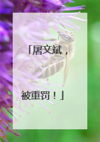 屠文斌，被重罚！