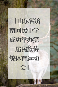 山东省济南回民中学成功举办第二届民族传统体育运动会