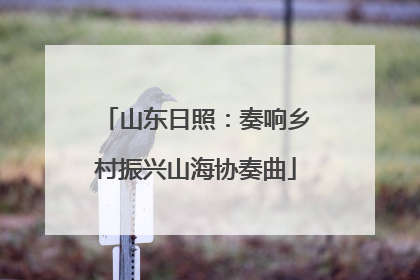 山东日照：奏响乡村振兴山海协奏曲