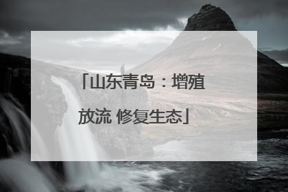 山东青岛：增殖放流 修复生态