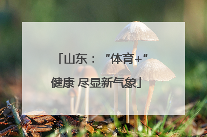 山东：“体育+”健康 尽显新气象