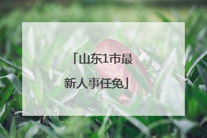 山东1市最新人事任免