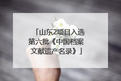 山东2项目入选第六批《中国档案文献遗产名录》