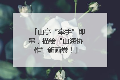 山亭“牵手”即墨，描绘“山海协作”新画卷！