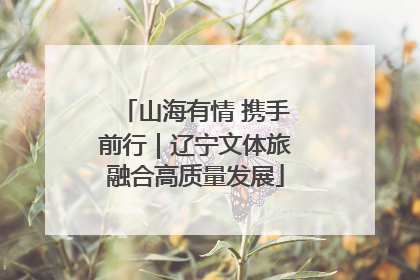 山海有情 携手前行｜辽宁文体旅融合高质量发展