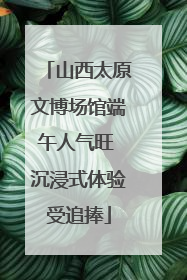 山西太原文博场馆端午人气旺 沉浸式体验受追捧