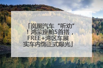 岚图汽车“听劝”！鸿蒙座舱5首搭，FREE+湾区车展实车内饰正式曝光