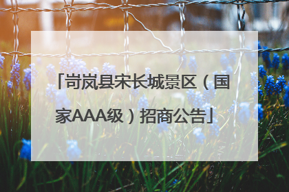 岢岚县宋长城景区（国家AAA级）招商公告