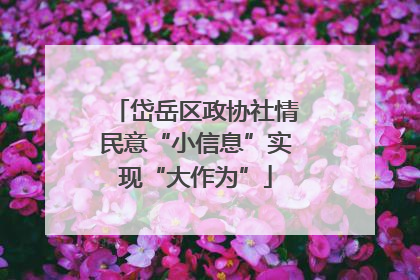 岱岳区政协社情民意“小信息”实现“大作为”