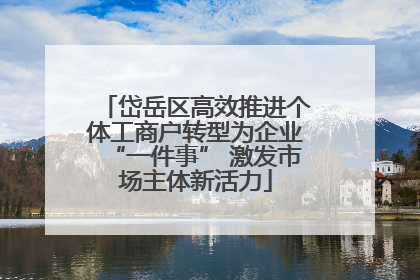 岱岳区高效推进个体工商户转型为企业“一件事” 激发市场主体新活力
