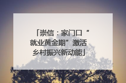 崇信：家门口“就业黄金期”激活乡村振兴新动能