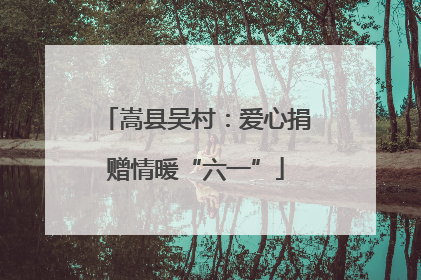 嵩县吴村：爱心捐赠情暖“六一”