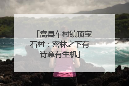 嵩县车村镇顶宝石村：密林之下有诗意有生机