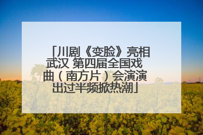 川剧《变脸》亮相武汉 第四届全国戏曲（南方片）会演演出过半频掀热潮