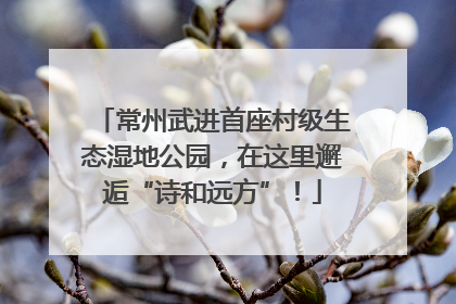 常州武进首座村级生态湿地公园，在这里邂逅“诗和远方”！