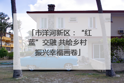 市洋河新区：“红蓝”交融 共绘乡村振兴幸福画卷