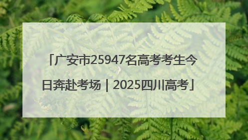 广安市25947名高考考生今日奔赴考场｜2025四川高考