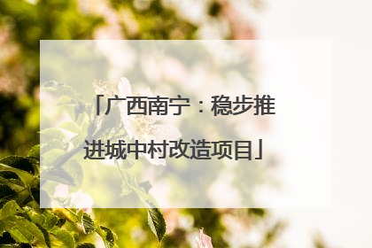 广西南宁：稳步推进城中村改造项目