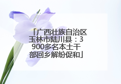 广西壮族自治区玉林市陆川县：3900多名本土干部回乡解纷促和