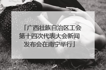 广西壮族自治区工会第十四次代表大会新闻发布会在南宁举行