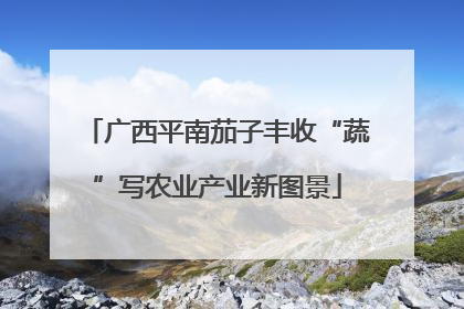 广西平南茄子丰收“蔬”写农业产业新图景