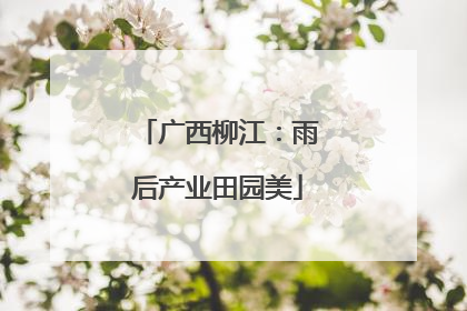 广西柳江：雨后产业田园美
