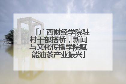 广西财经学院驻村干部搭桥，新闻与文化传播学院赋能油茶产业振兴