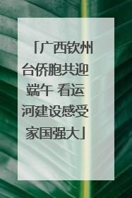 广西钦州台侨胞共迎端午 看运河建设感受家国强大