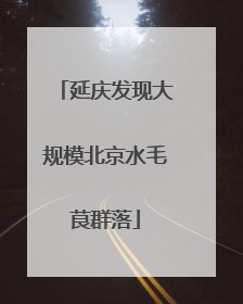 延庆发现大规模北京水毛茛群落