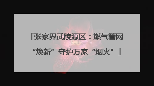 张家界武陵源区：燃气管网“焕新”守护万家“烟火”