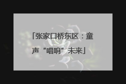 张家口桥东区：童声“唱响”未来