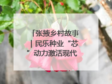 张掖乡村故事｜民乐种业“芯”动力激活现代农业新活力